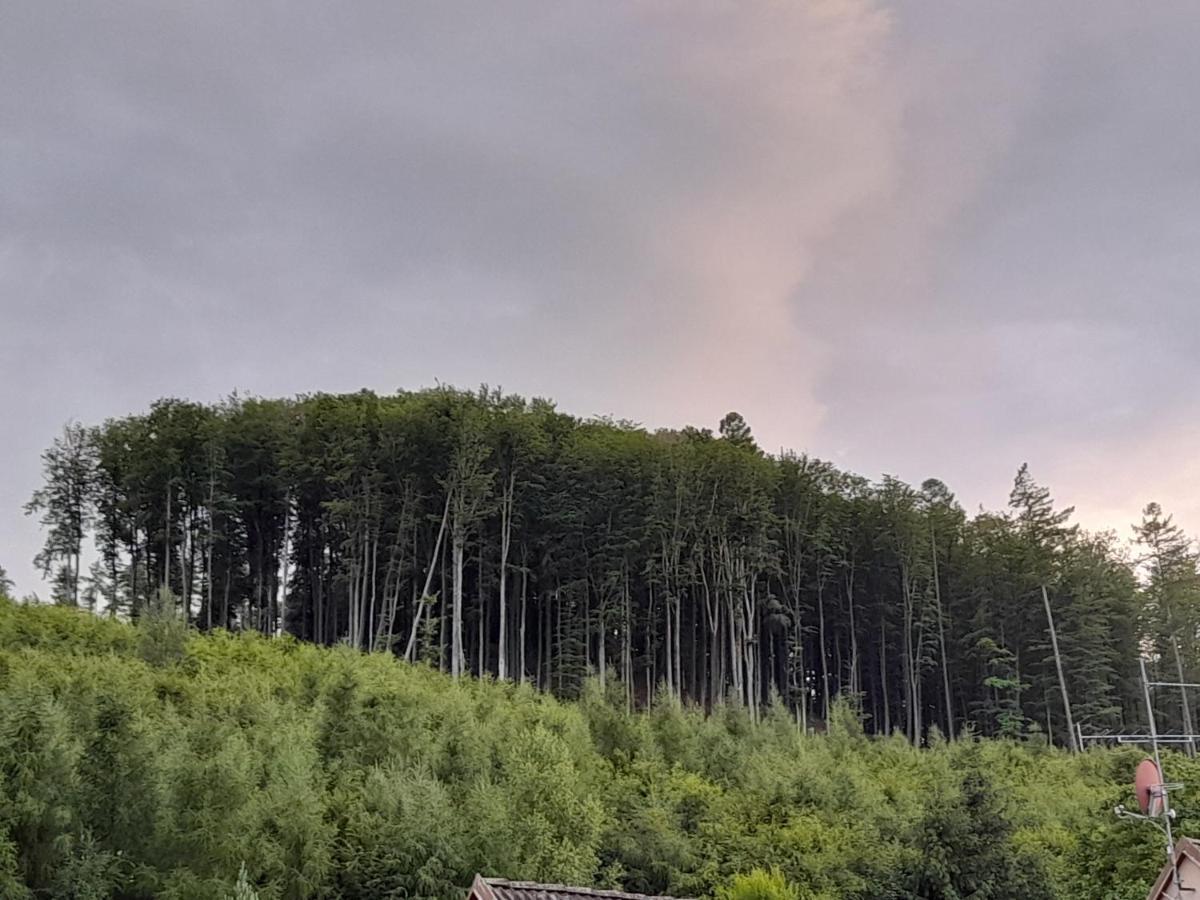 Pohoda Salas U Velehradu-2 Apartmany Uherské Hradiště Esterno foto